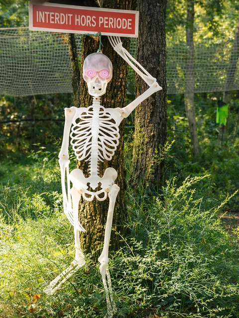 Résolvez les énigmes en pleine forêt - Escape Game Nature